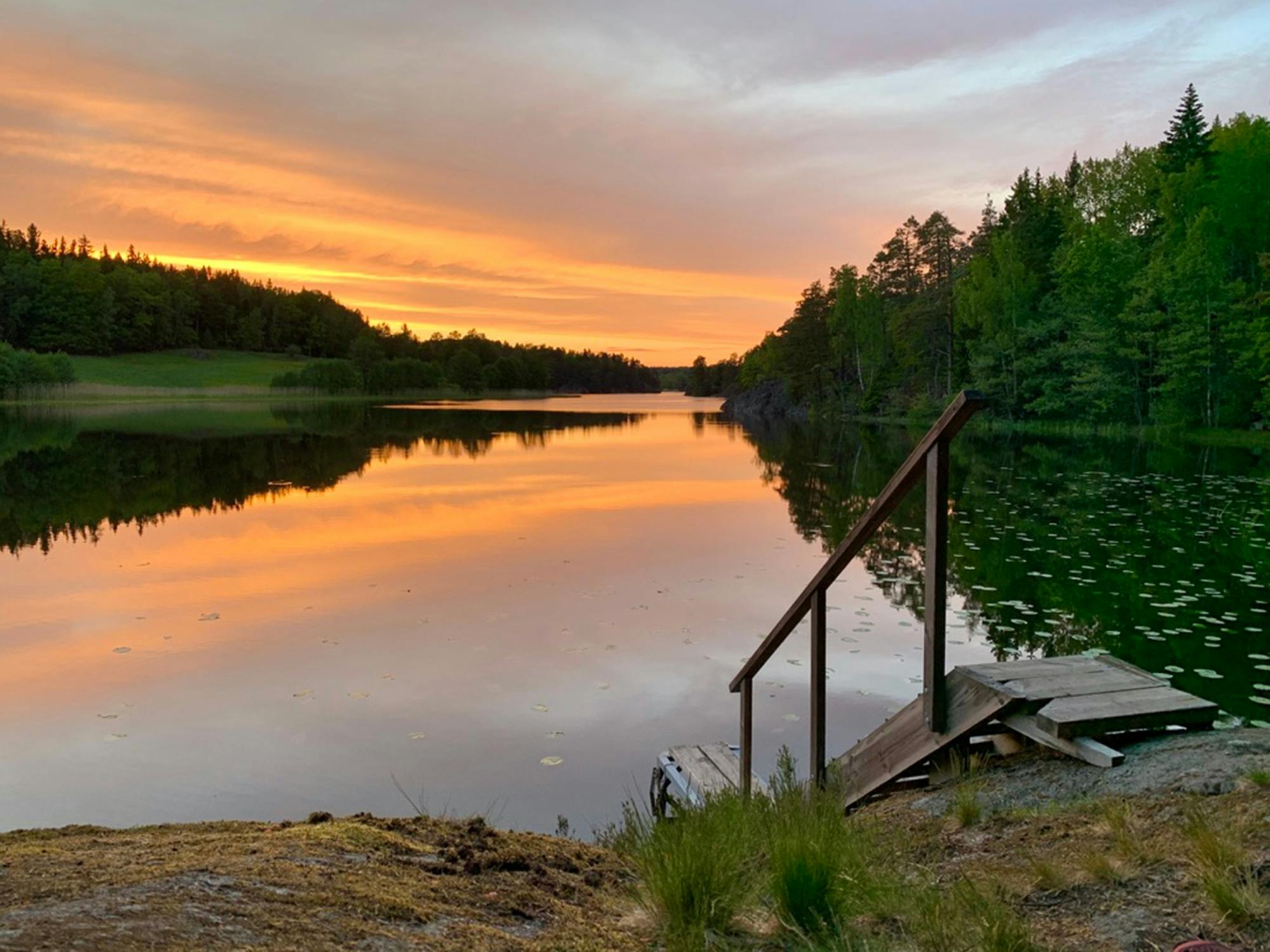 Vandring i solnedgang og dyreliv i Sveriges nasjonalpark