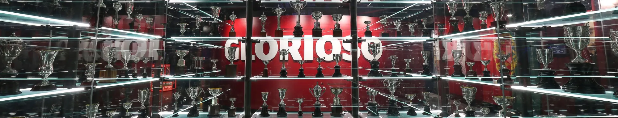 Sport Lisboa e Benfica Stadium (Estádio da Luz)