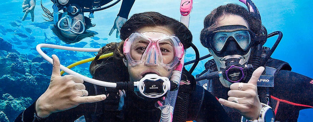 Essayez l'expérience de plongée sous-marine à Madère