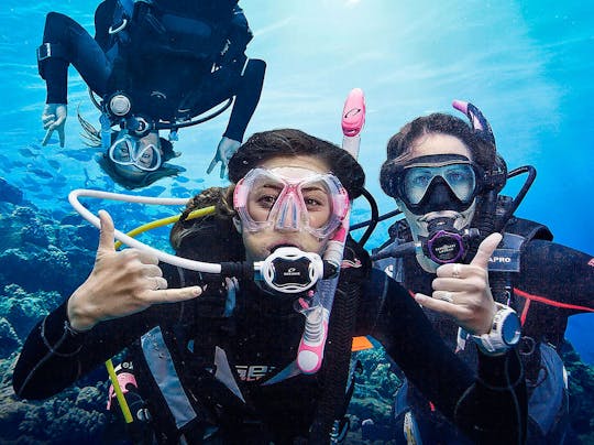 Prova Scuba Diving Experience a Madeira