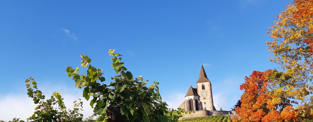 Half-day afternoon tour of Hunawihr, Riquewihr and wine tasting