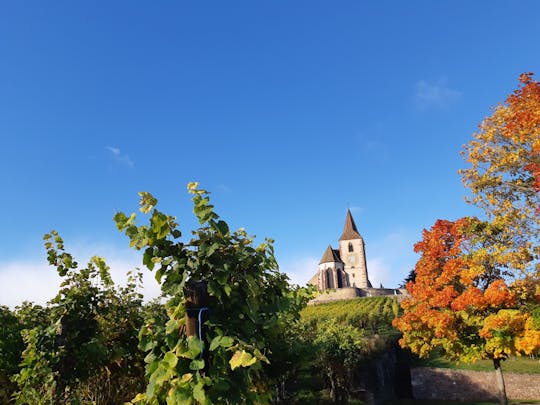 Visita de medio día por la tarde a Hunawihr, Riquewihr y cata de vinos.