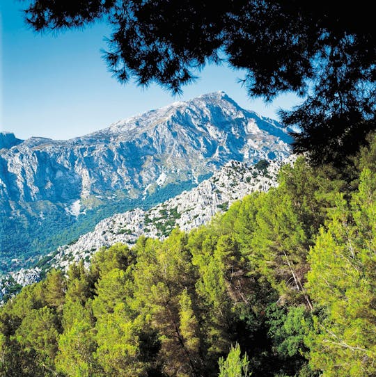 Visite de Valldemossa, Son Marroig et Soller avec balade en train d'époque