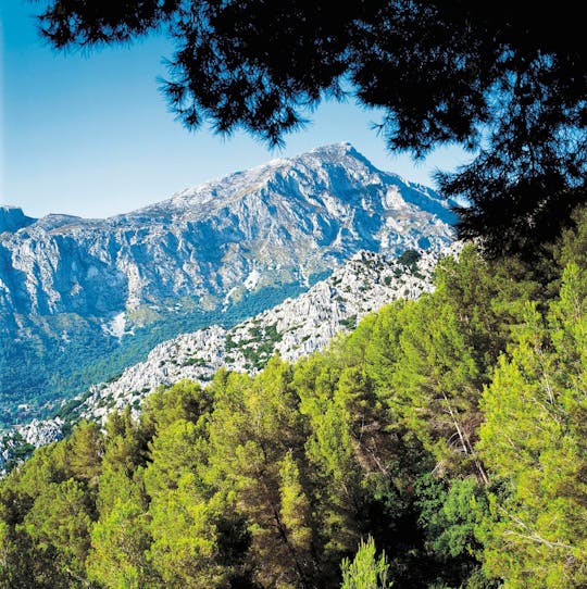 Valldemossa, Son Marroig and Soller Tour with Historic Train