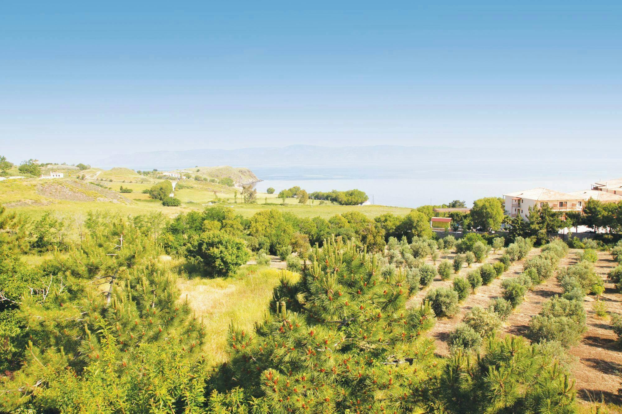 Passeio de safári 4x4 em Lesbos