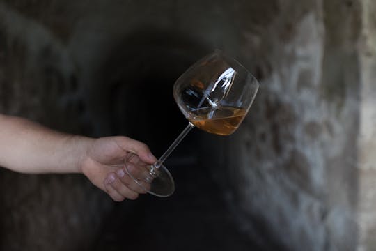 1-hour guided tour of the Orsini Fortress winery with final tasting