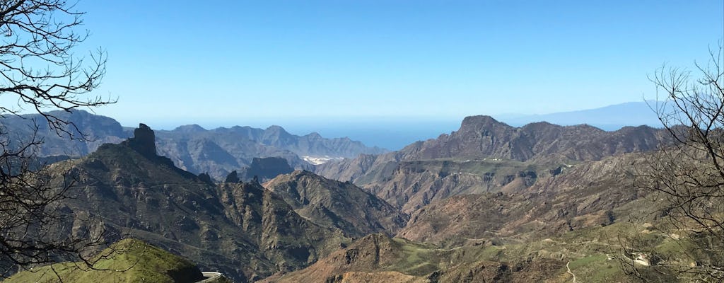 Gran Canaria Eilandtour met Kleine Groep en Lokale Lunch