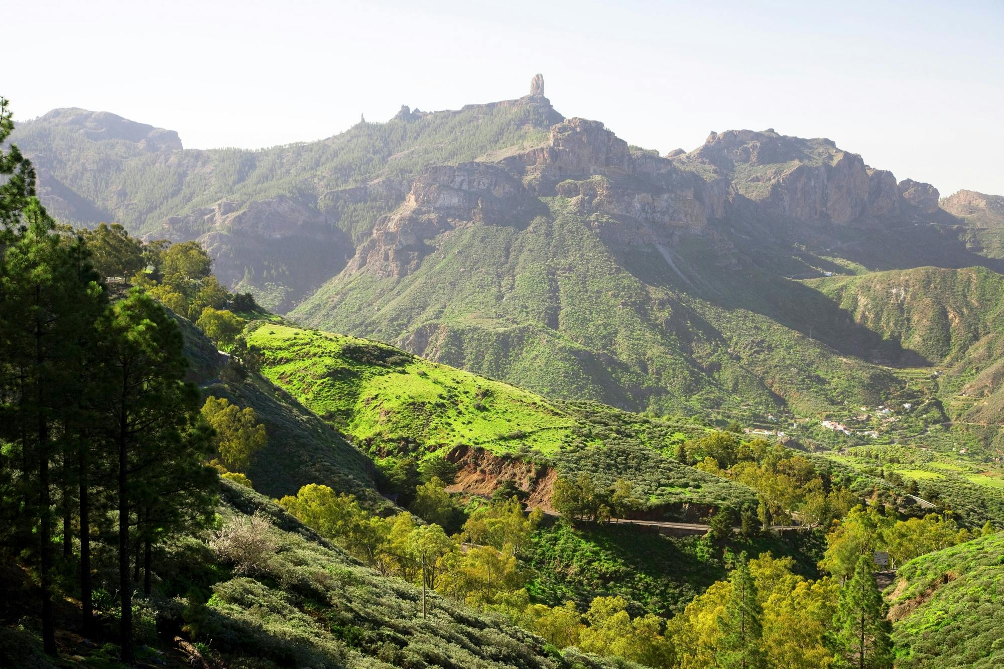 Gran Canaria Small Group Island Tour with Local Lunch