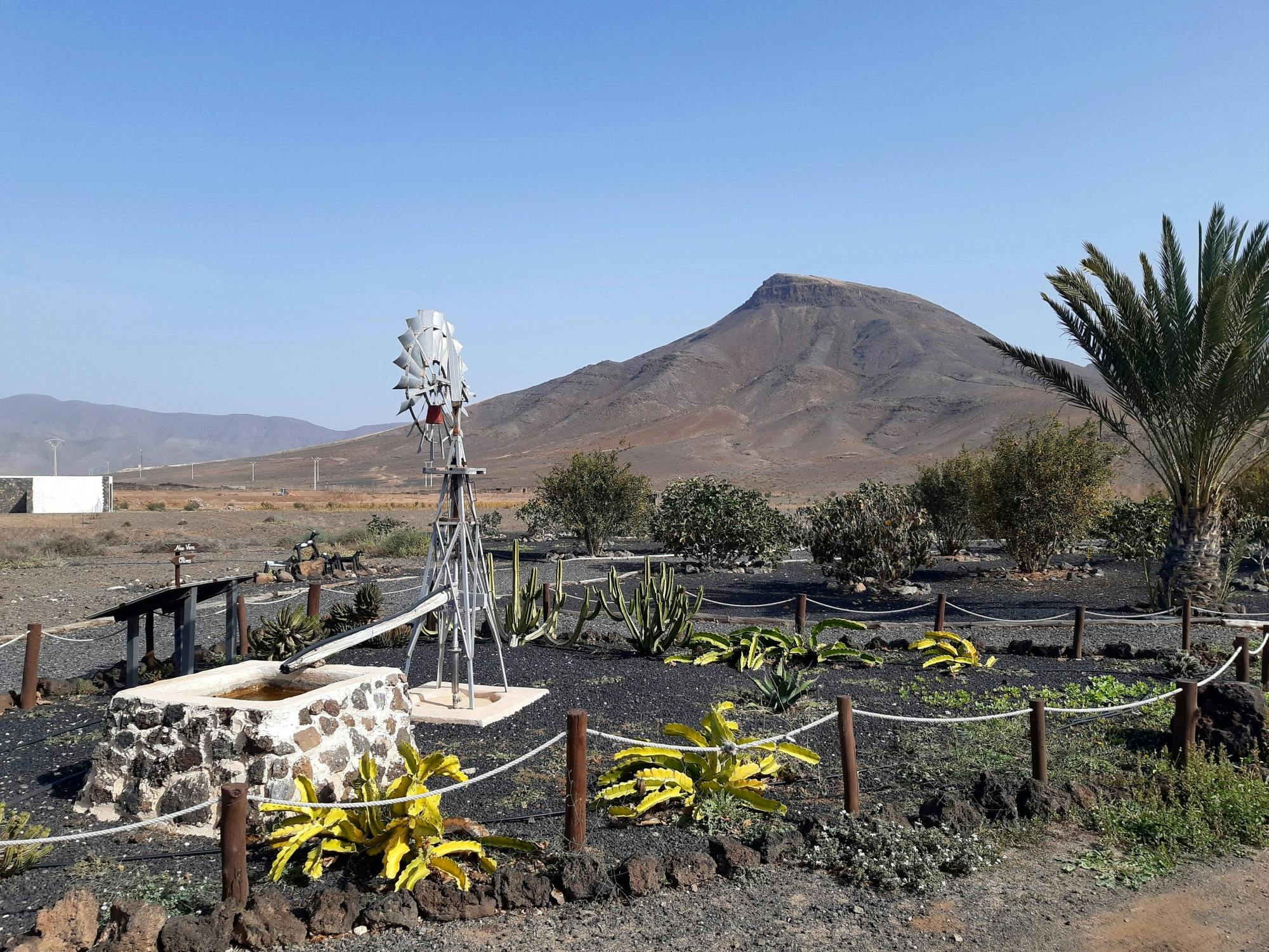 Fuerteventura Small Group Tour with Tapas and Wine