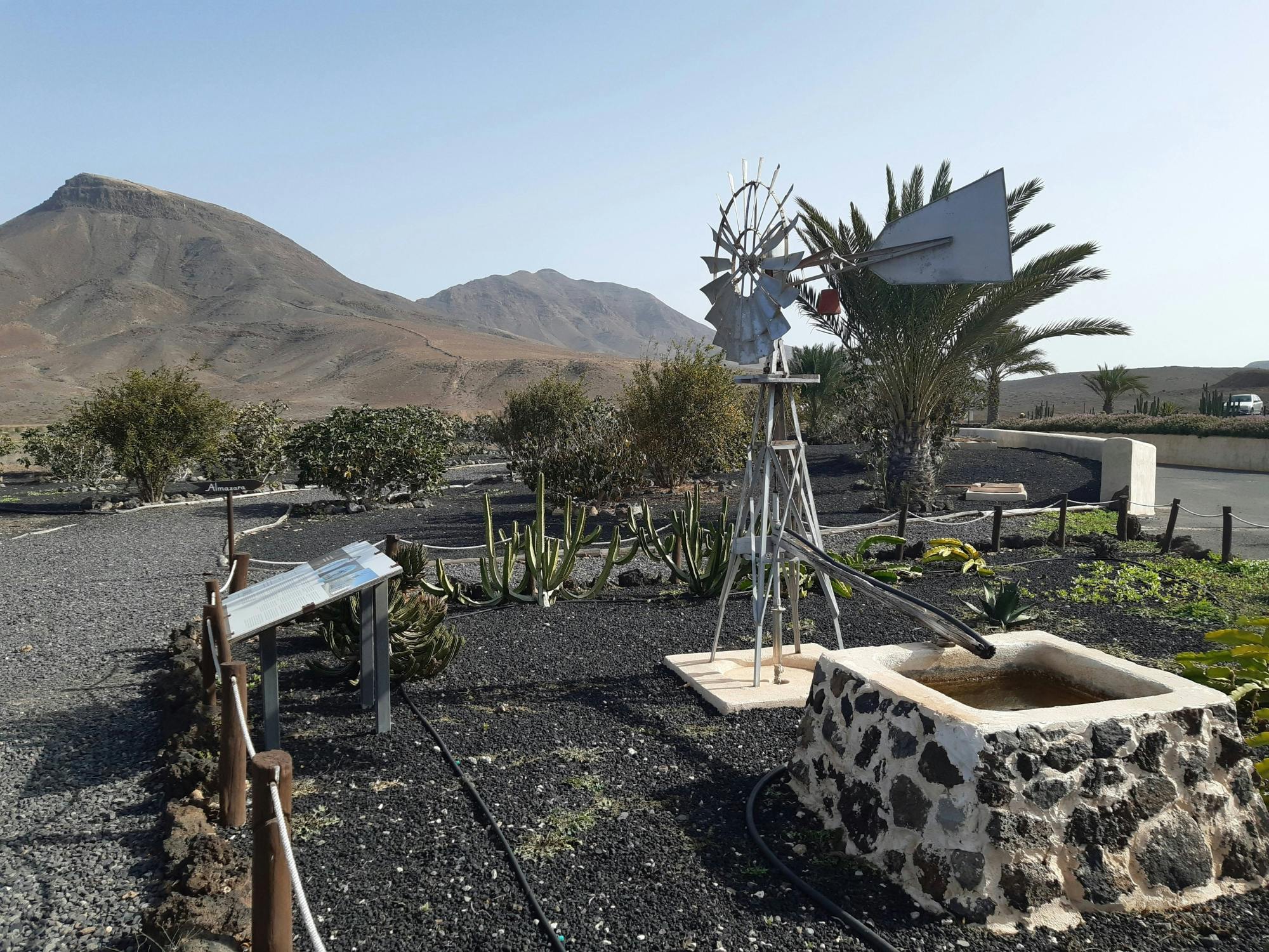 Fuerteventura Small Group Tour with Tapas and Wine