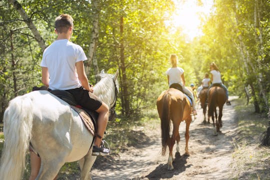 Experiencia de equitación en el Parque Nacional Vjosa en Permet