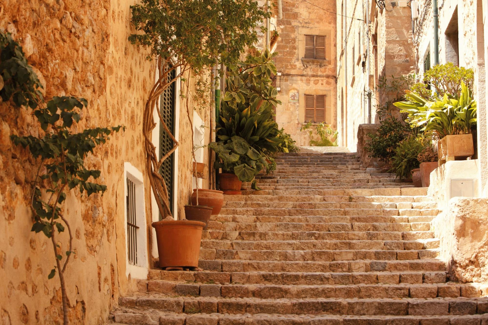 Tramuntana Villages Tour with VIP Historic Train Ride