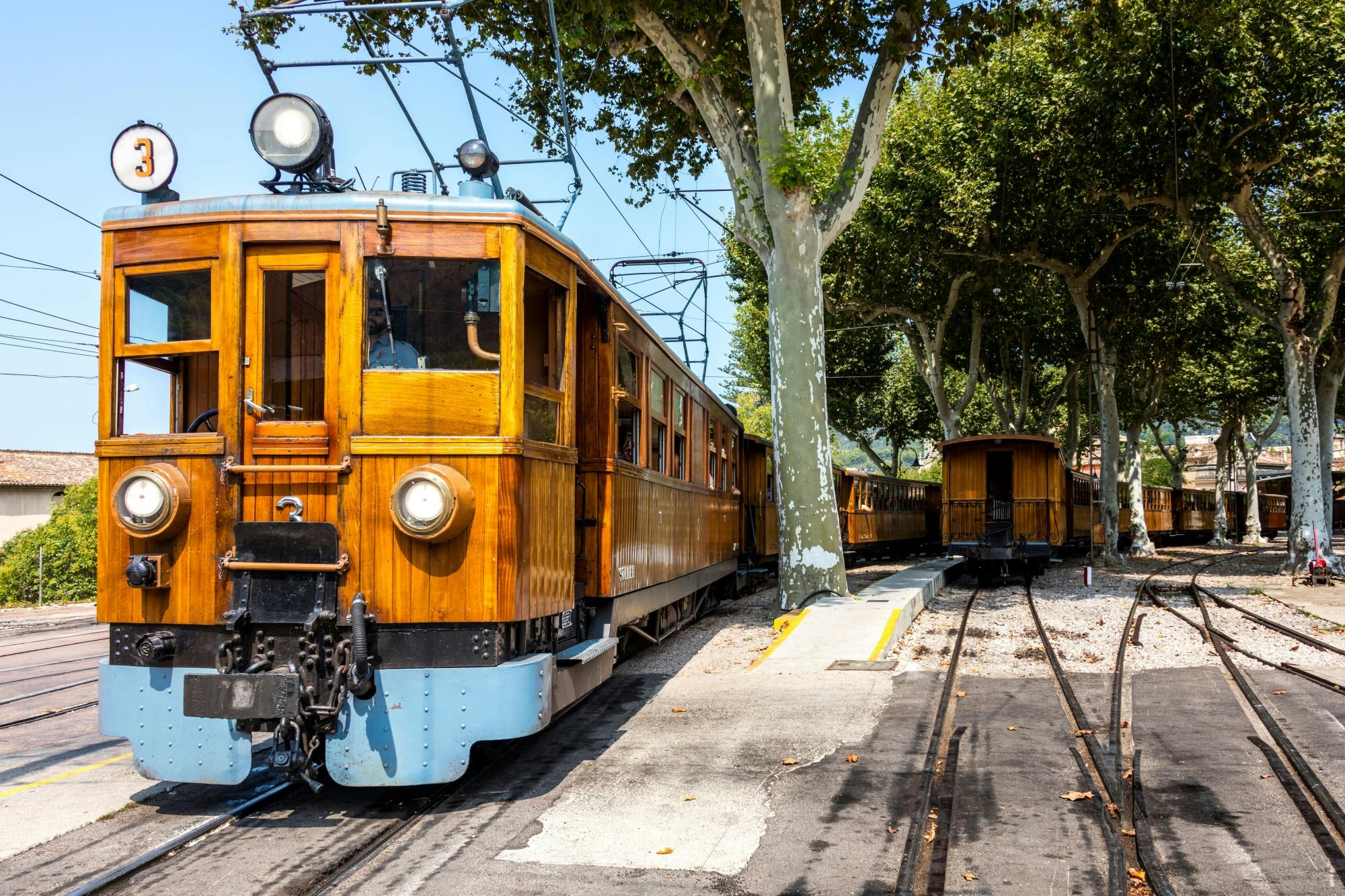 Tramuntana Villages Tour with VIP Historic Train Ride