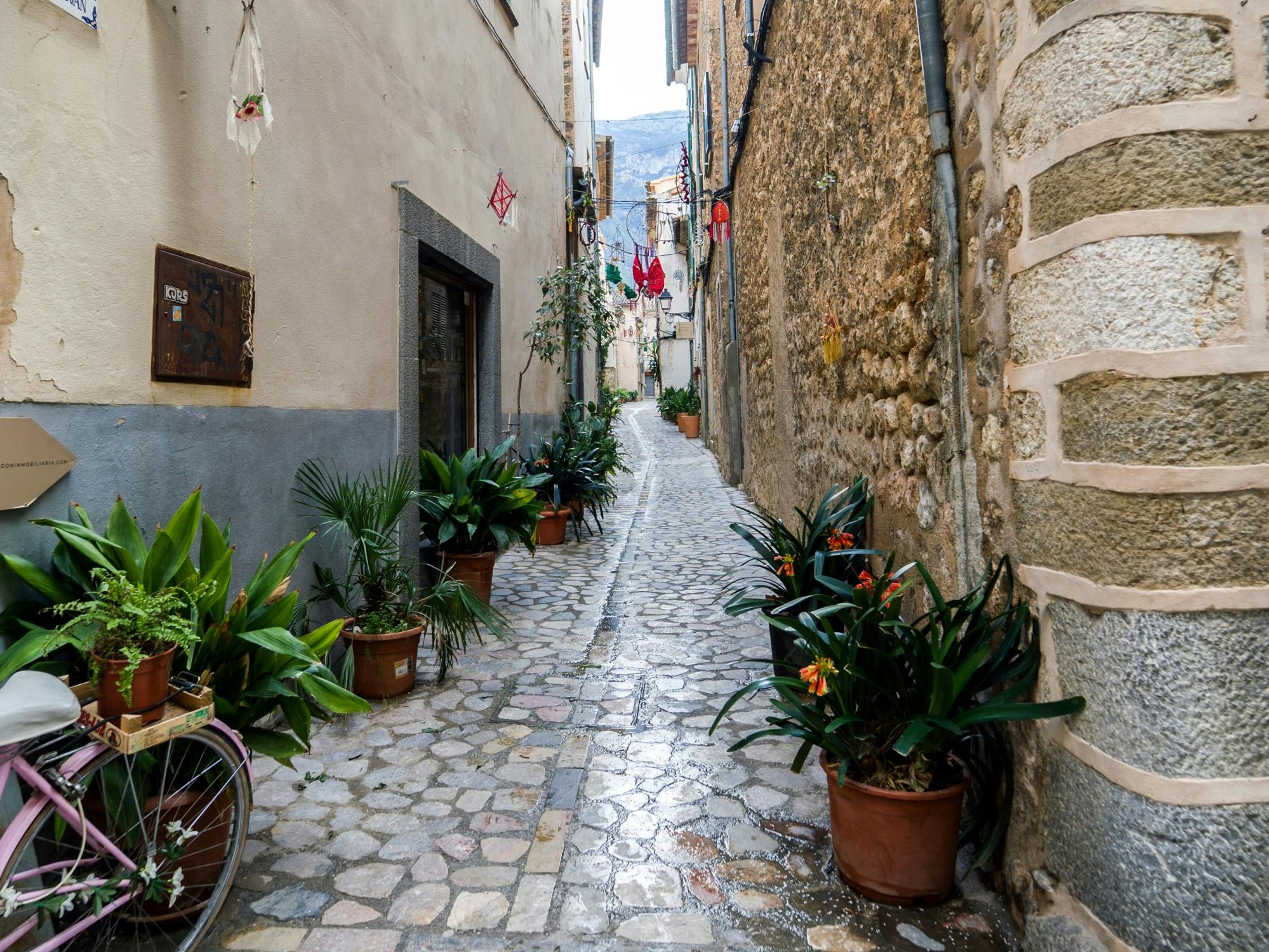 Tramuntana Villages Tour with VIP Historic Train Ride