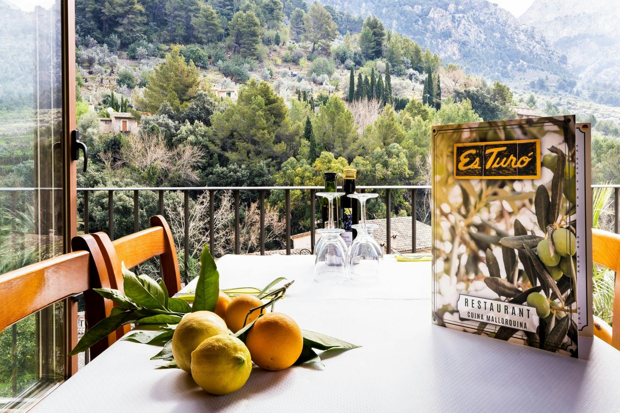 Tramuntana Villages Tour with VIP Historic Train Ride