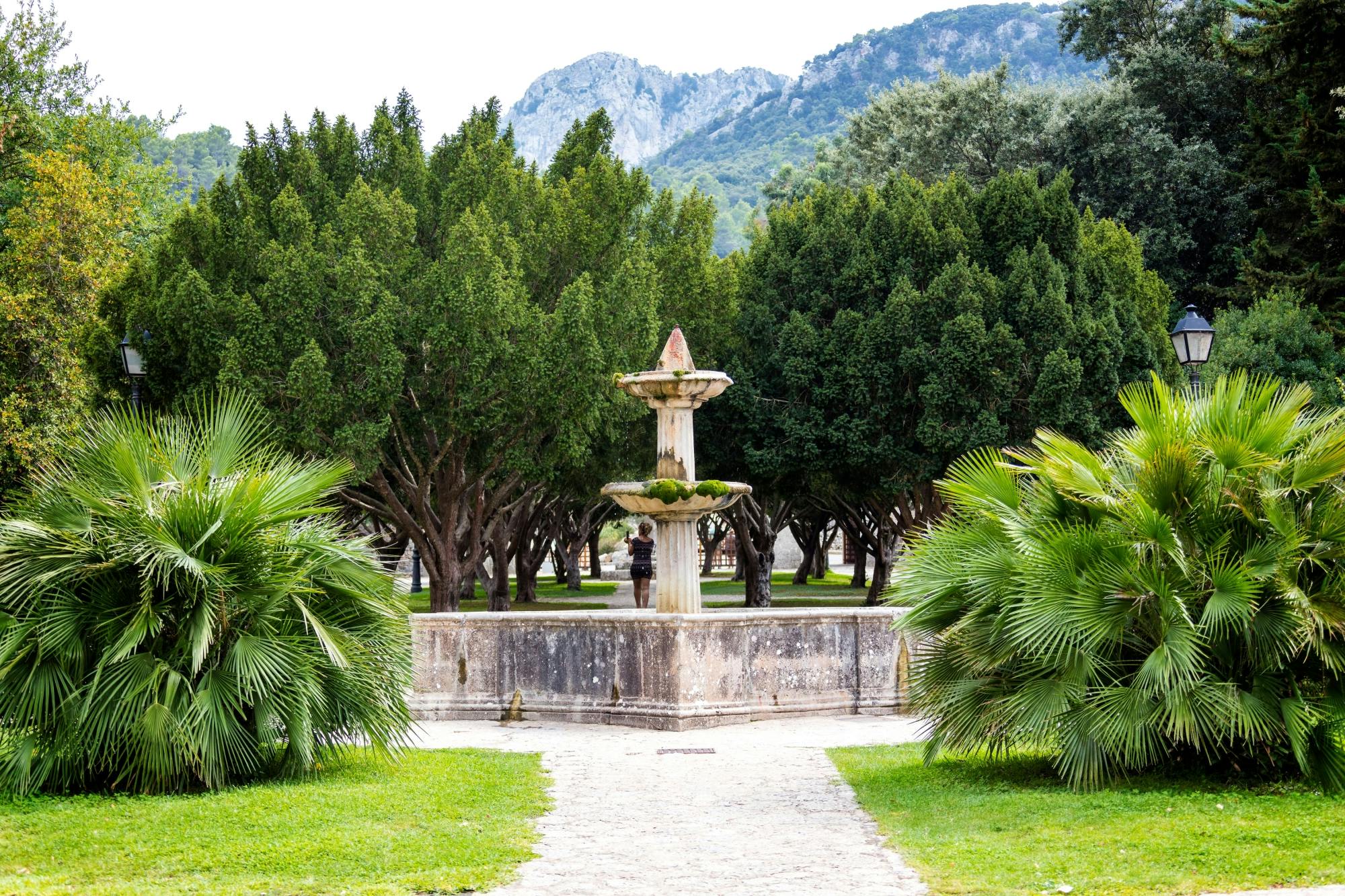 Tramuntana Villages Tour with VIP Historic Train Ride