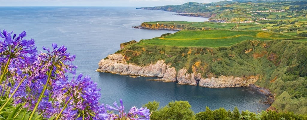 São Miguel Furnas Tour