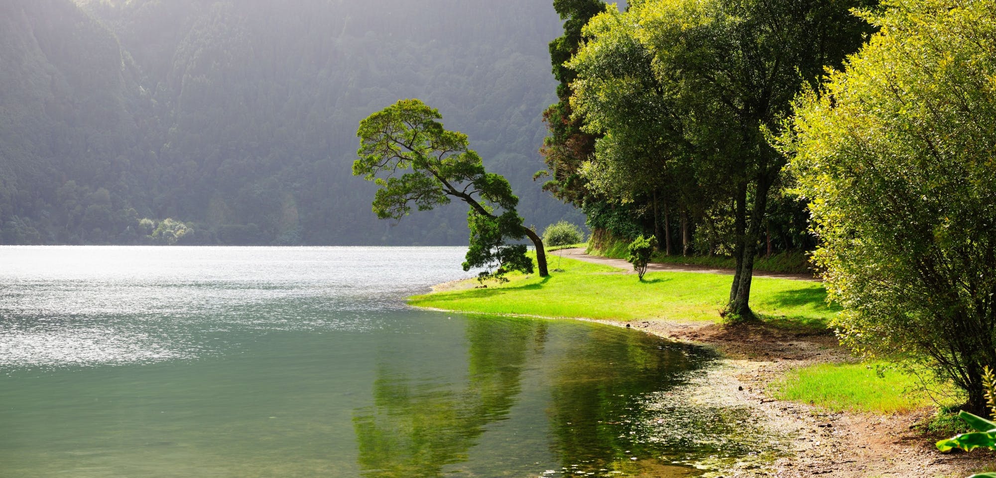 São Miguel Furnas Tour