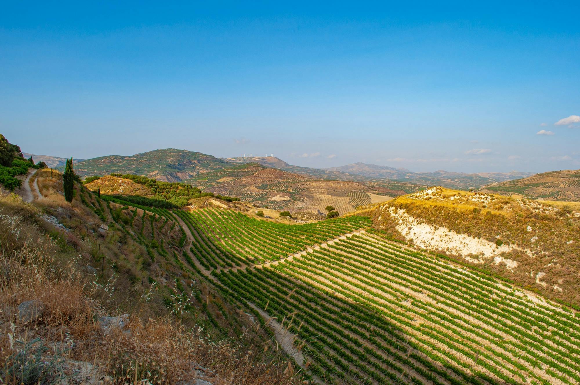 Tour privado pelo coração de Creta e degustação de vinhos