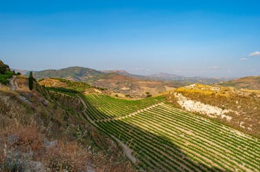 Visita privada al corazón de Creta y degustación de vinos.