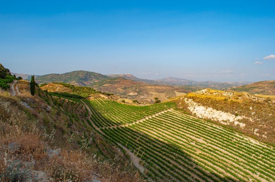 Tour privato del cuore di Creta e degustazione di vini
