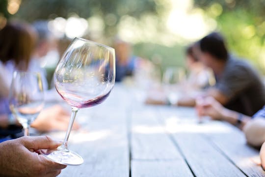 Dégustation de vins du Chianti avec dîner typique dans une villa de campagne