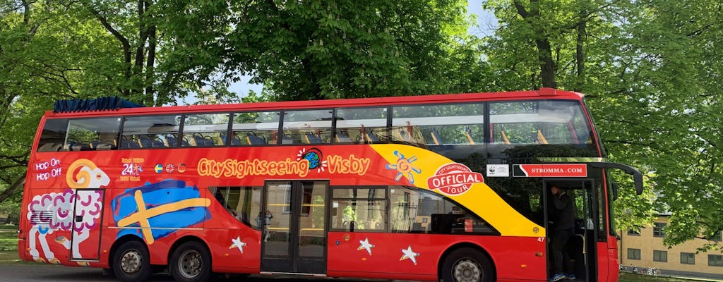 Tour hop-on hop-off di City Sightseeing di 24 o 72 ore a Visby
