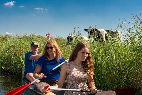 Kanotocht met gids door de wetlands dichtbij Amsterdam