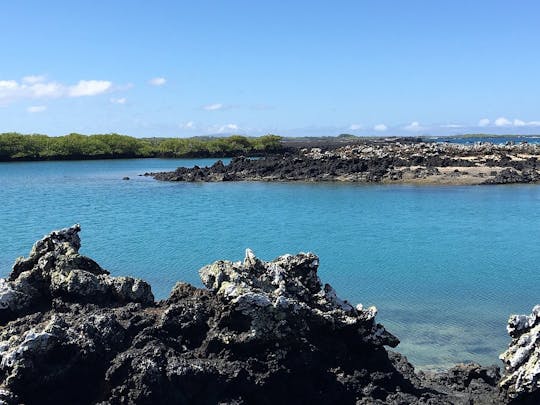 Tintoreras Bay Bootstour von Isabela Island