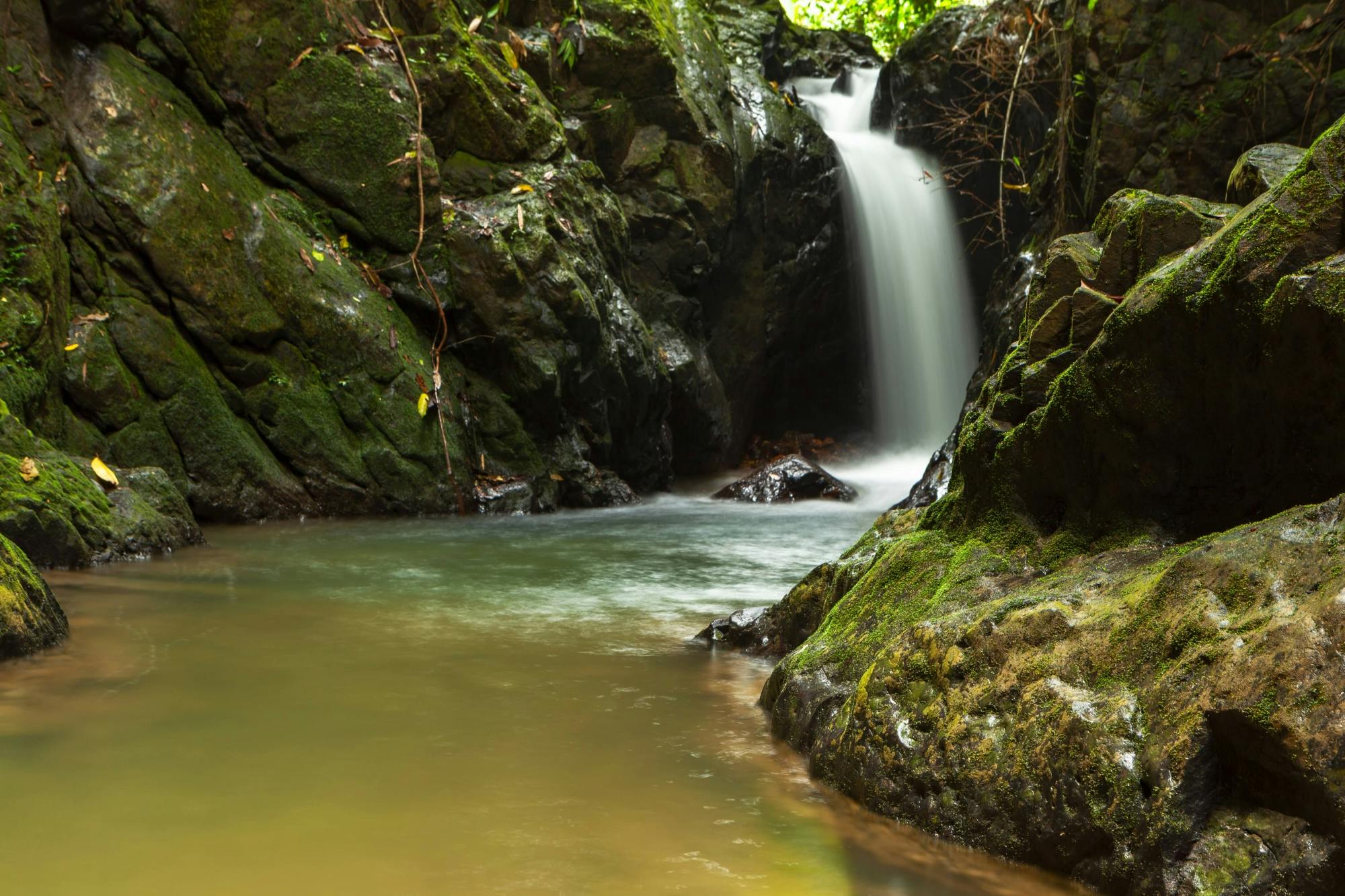 Phang Nga Bay Highlights Private Tour with James Bond Island Visit