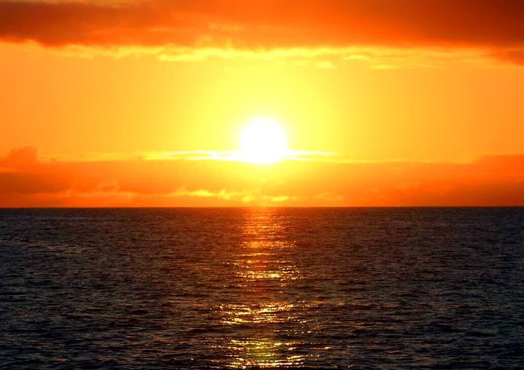 Croisière au coucher du soleil sur le Living Sea