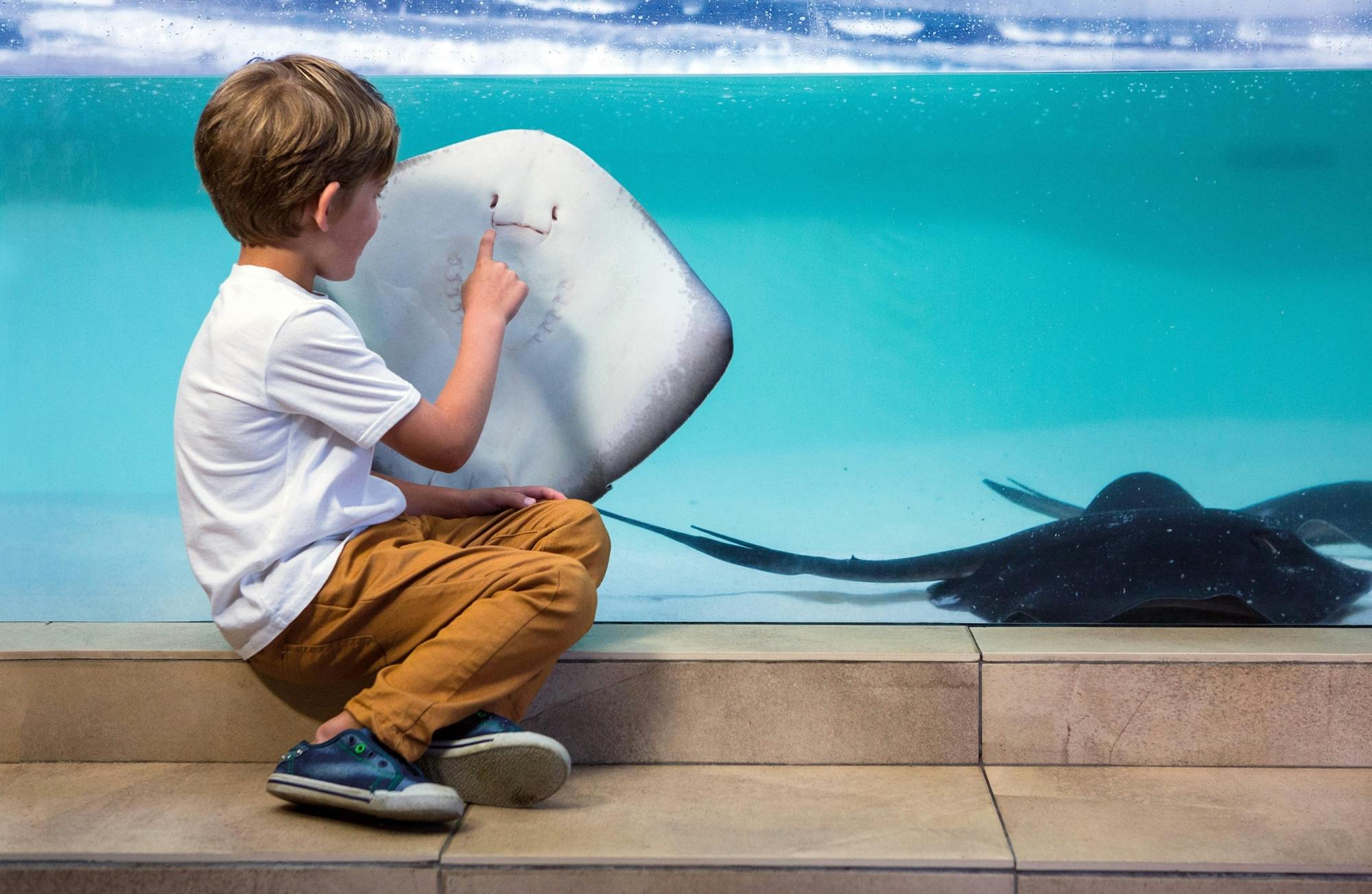 Palma Aquarium ticket