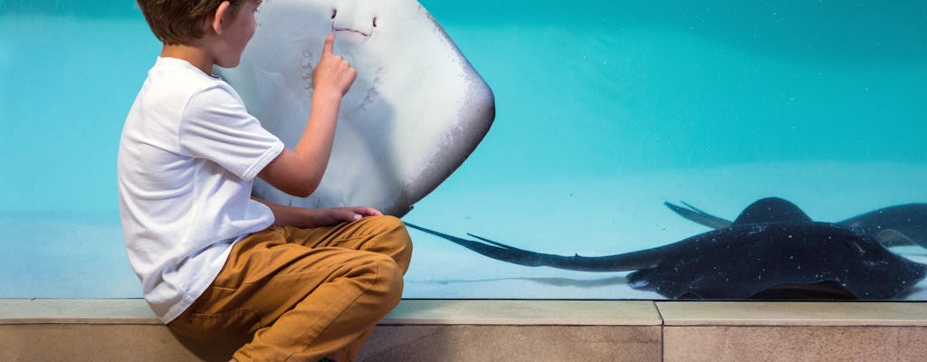 Billet pour l'aquarium de Palma
