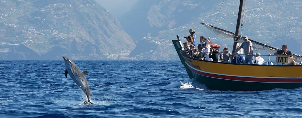 Walbeobachtungstour auf einem traditionellen Segelboot auf Madeira