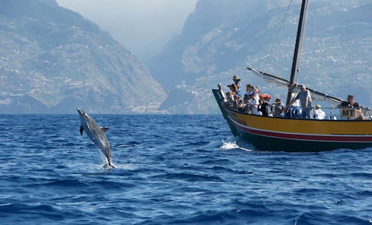 Tour di osservazione delle balene su una barca a vela tradizionale a Madeira