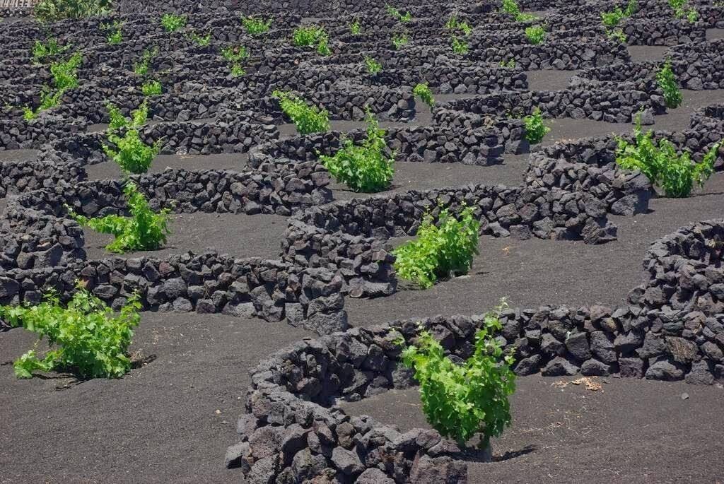 Parc national de Timanfaya - La route lunaire