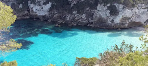 South Coast Beach Explorer Boat Tour