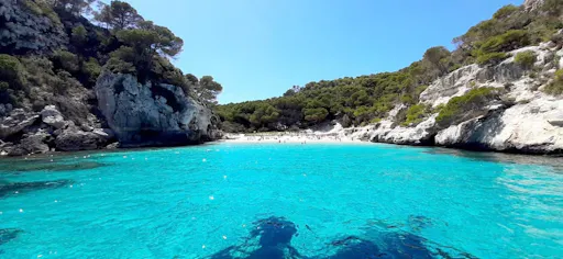 South Coast Beach Explorer Boat Tour
