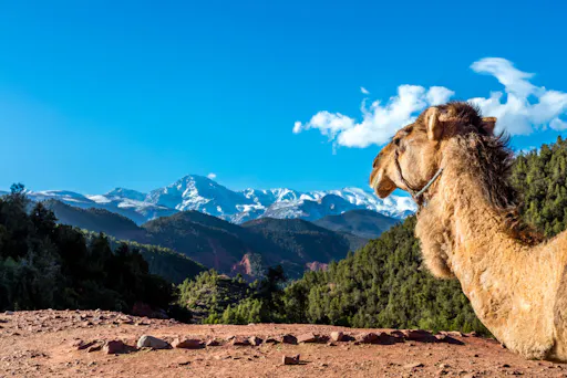 High Atlas Mountains Private 4x4 Tour with Lunch