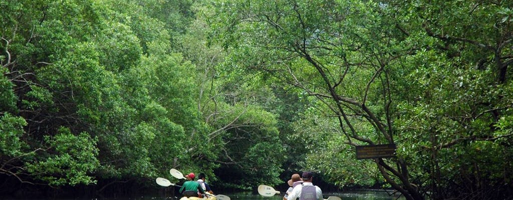 Full Day Bor Thor Mangroves & Caves Kayaking Tour