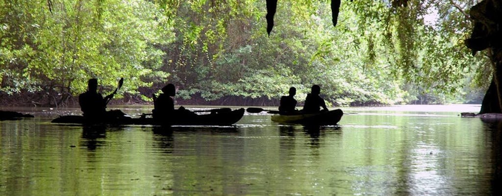 Half Day Bor Thor Mangroves & Caves Kayaking Tour