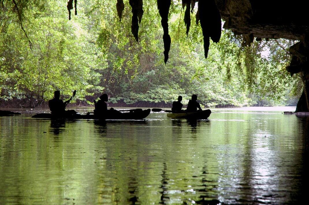 Mezza giornata di tour in kayak delle mangrovie e delle grotte di Bor Thor