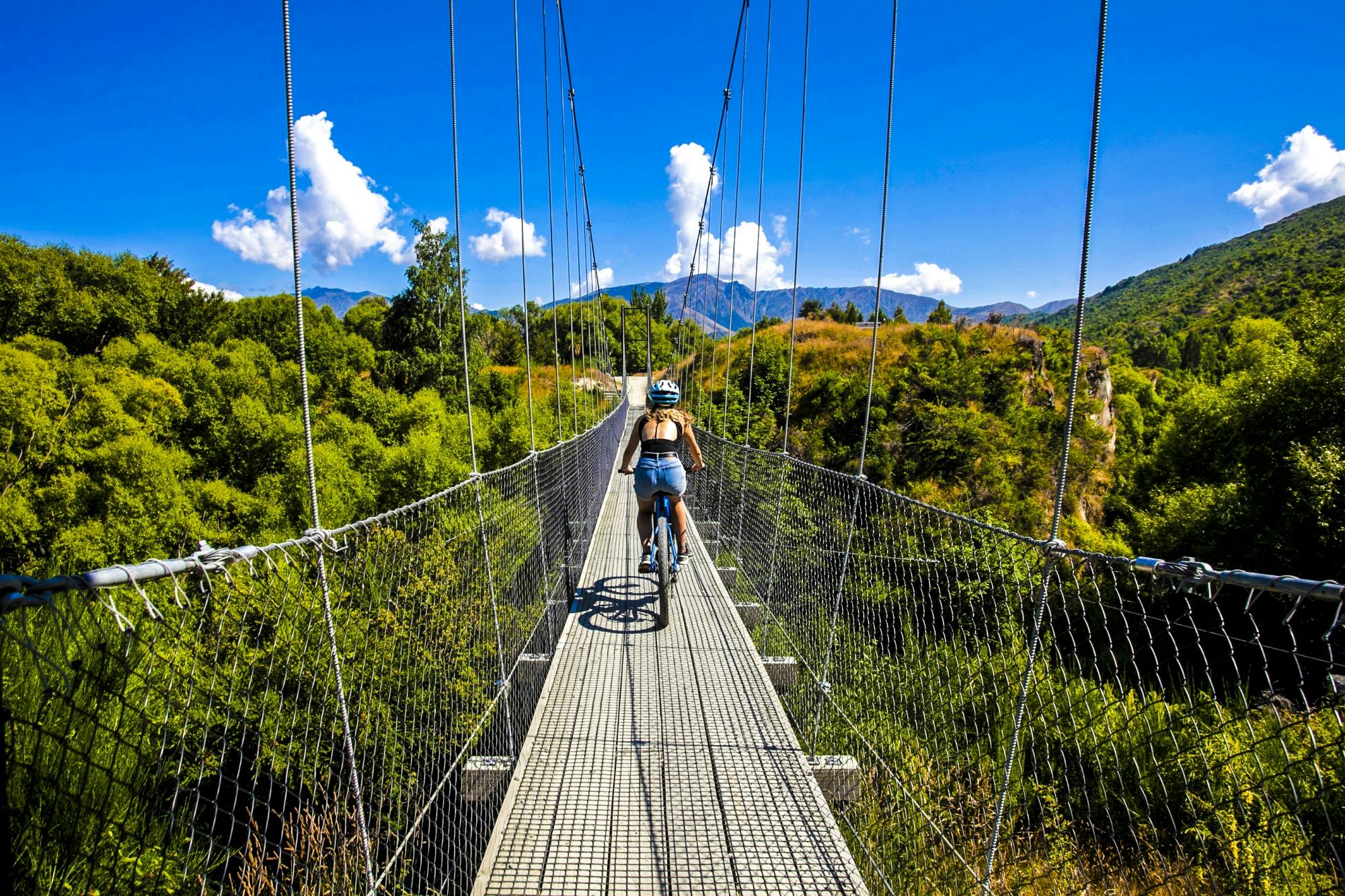 Valley of the Vines E-bike tour with transfer from Queenstown