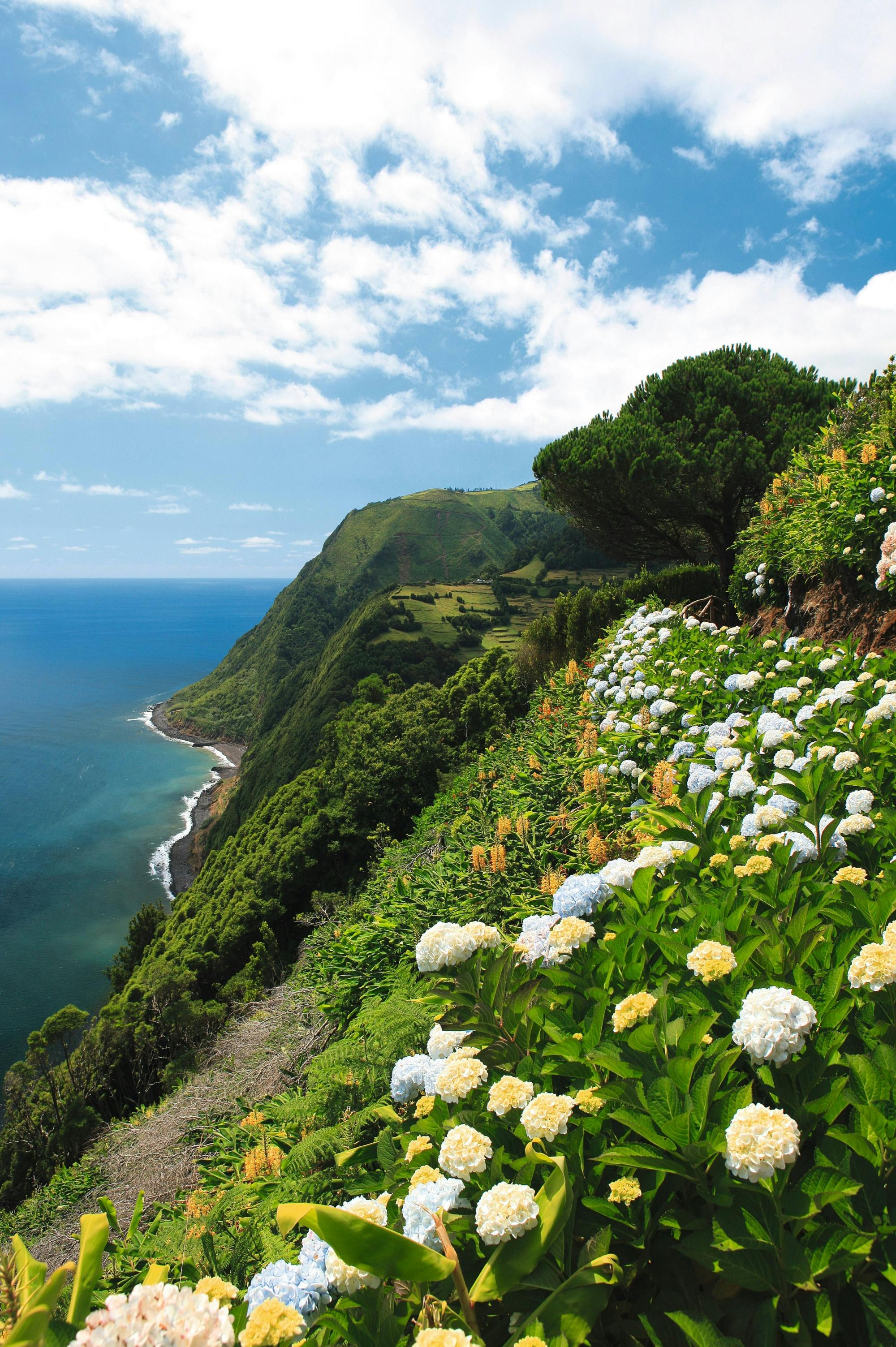 Tour della costa nord di São Miguel