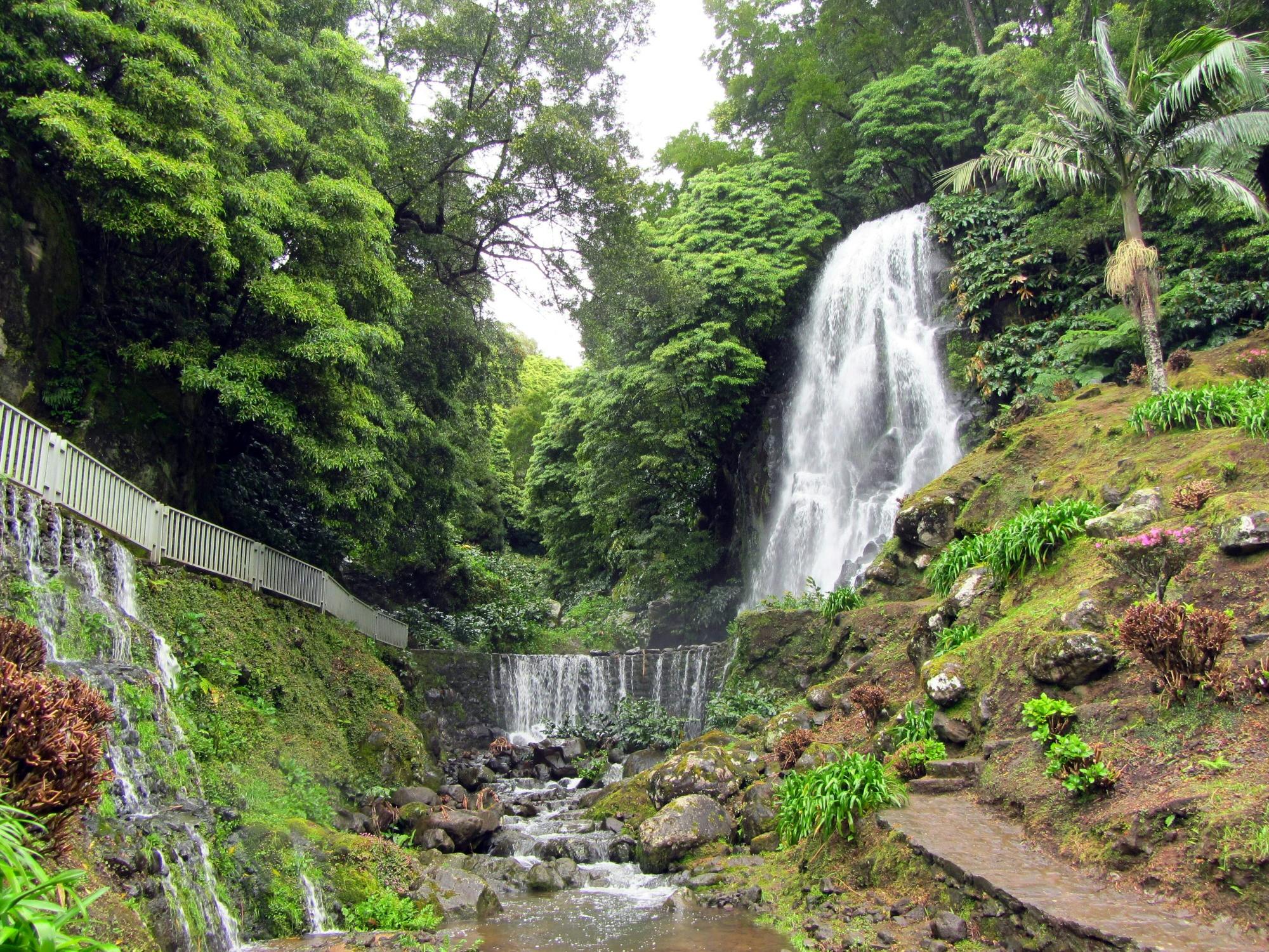 North Coast of São Miguel Tour