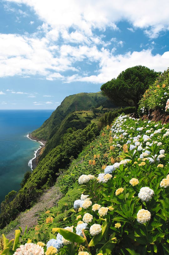 Noordkust van São Miguel Tour