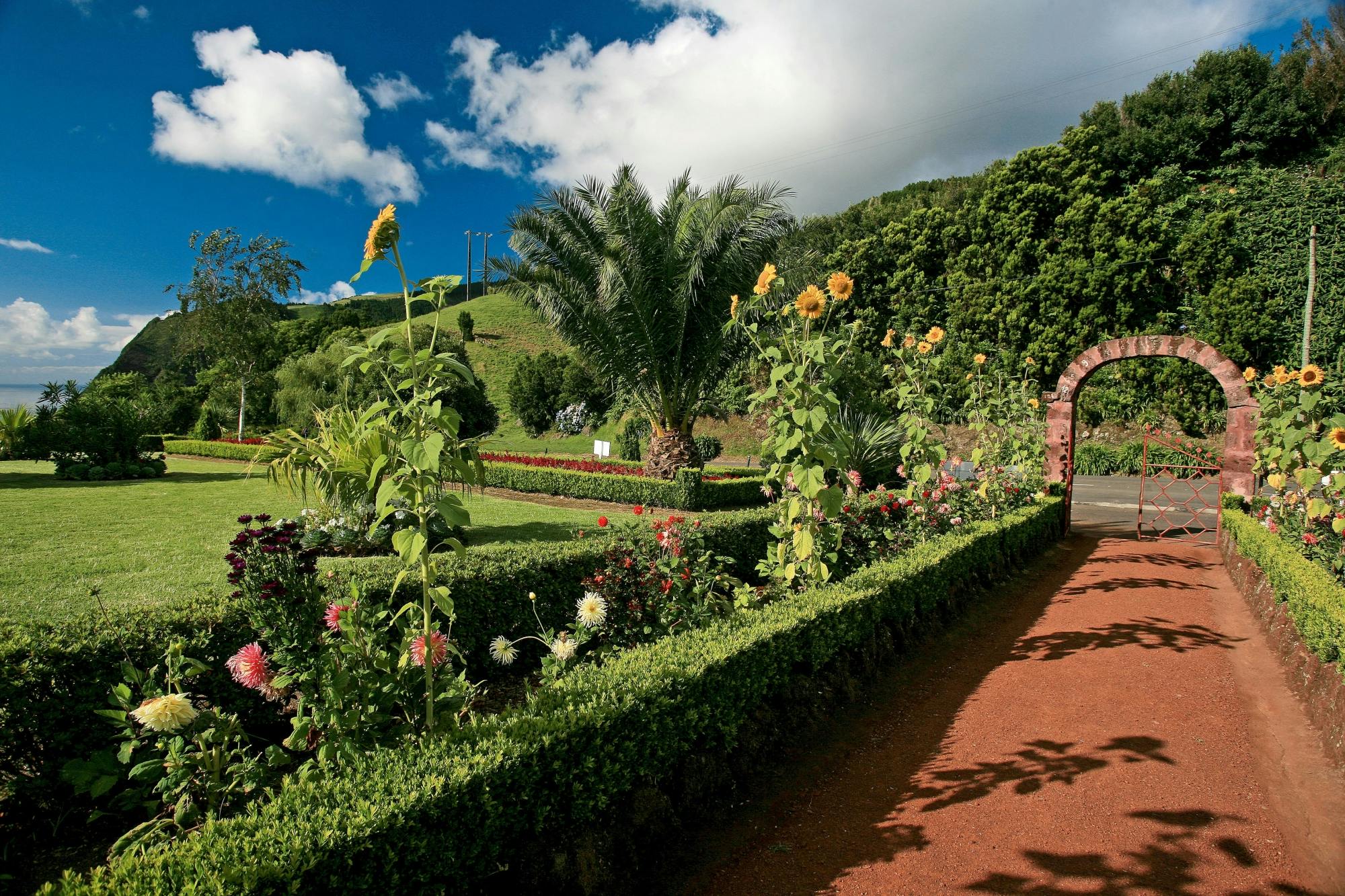 North Coast of São Miguel Tour