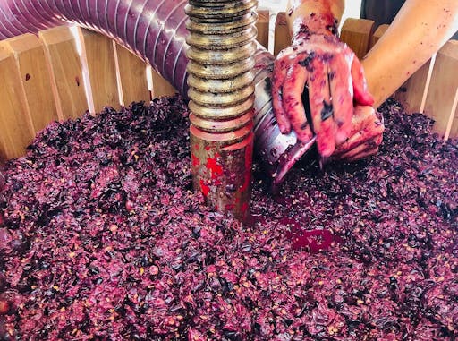 Skiathos Wine Tasting Tour