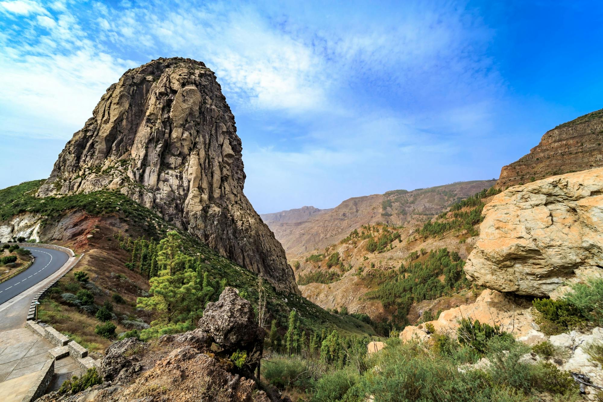 VIP Guided Tour of La Gomera with Garajonay Park and Lunch