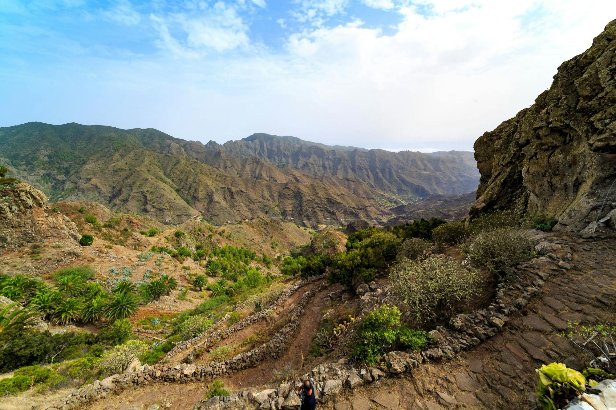 VIP Guided Tour of La Gomera with Garajonay Park and Lunch